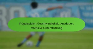 featured-image-flugelspieler-geschwindigkeit-ausdauer-offensive-unterstutzung