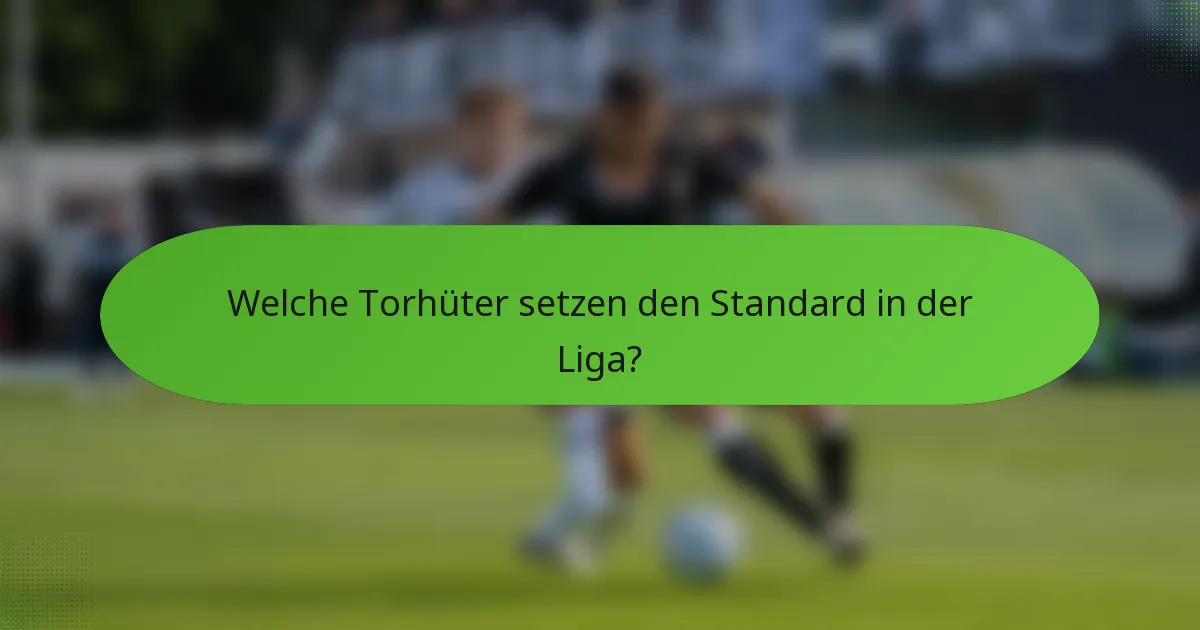 Welche Torhüter setzen den Standard in der Liga?