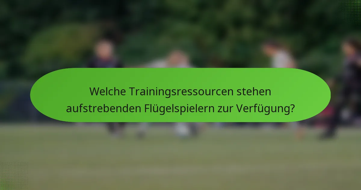 Welche Trainingsressourcen stehen aufstrebenden Flügelspielern zur Verfügung?