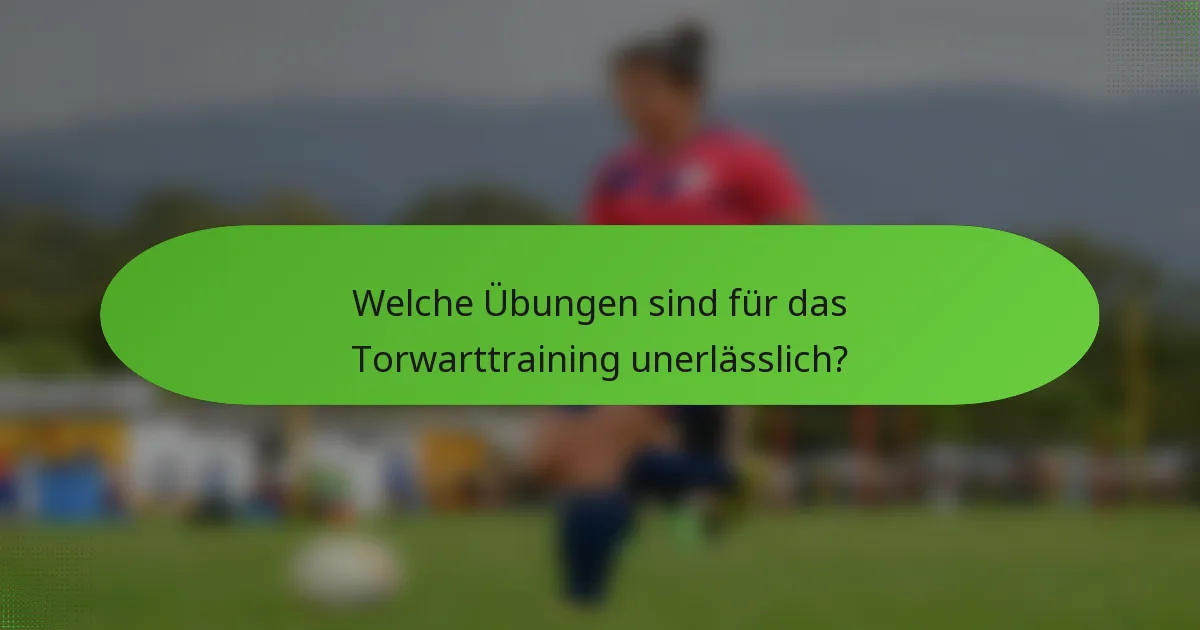 Welche Übungen sind für das Torwarttraining unerlässlich?