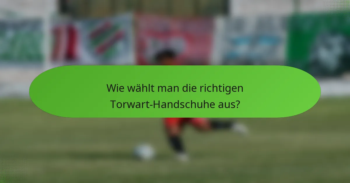 Wie wählt man die richtigen Torwart-Handschuhe aus?